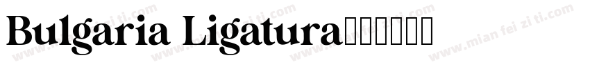 Bulgaria Ligatura字体转换